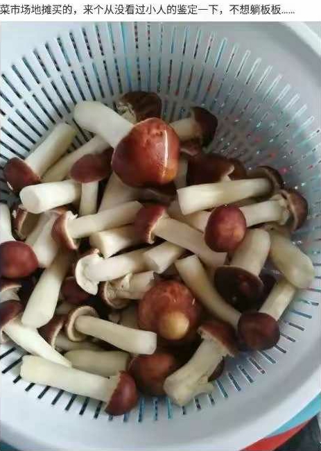 菜市场地摊买的，来个从没看过小人的鉴定一下，不想躺板板…