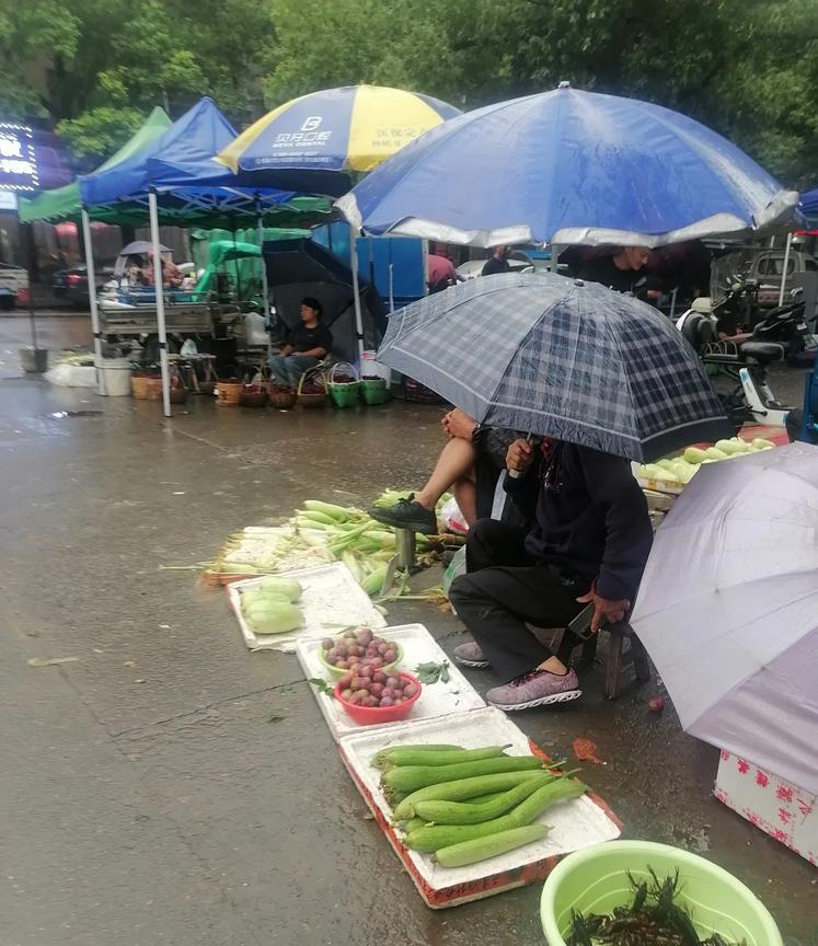 浙江宁波的大爷大妈太拼了，下雨天还出来摆摊。有些看上去只有一丁点蔬菜及瓜果，可能