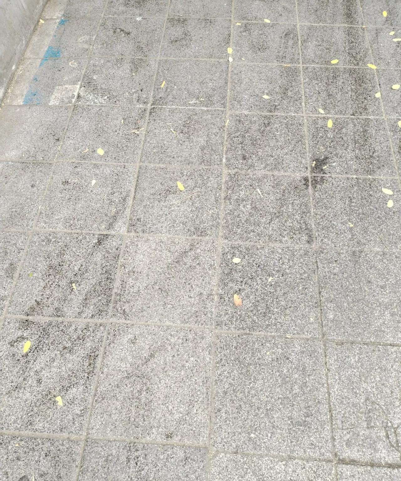 兰州是夏天避暑纳凉的好地方，虽然这两天确实也有点热，但时间很短。总的来说还是很不