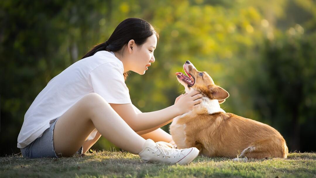 打造个人热搜标题：抓住流量密码的五大核心法则