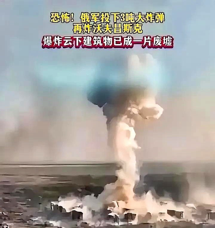 大毛这下真怒了，三吨炸弹把天炸黑！











---






