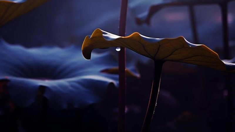 别不信！十二星座在职场中的隐藏技能，竟能助你升职加薪