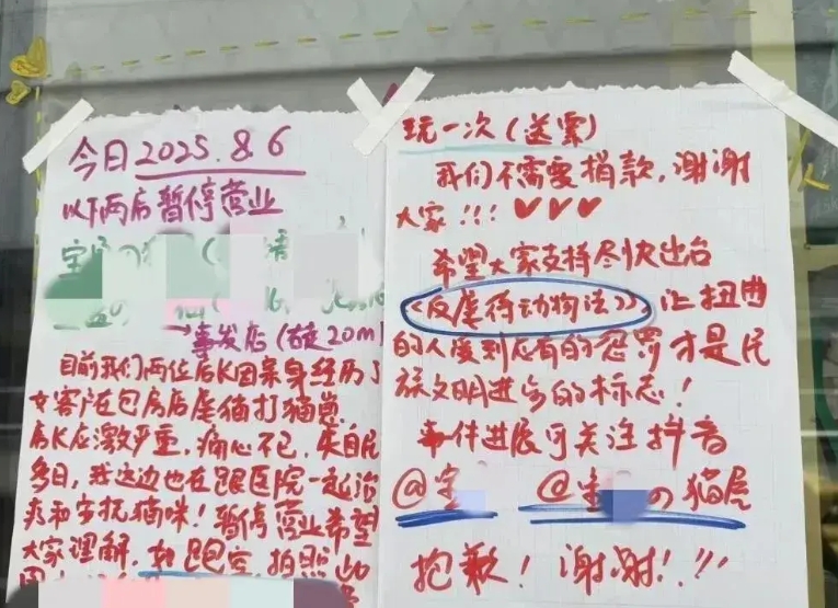 虐猫女子说心情不好，我不意外；  店员退钱请她离开，也不意外；  最让我意外的是