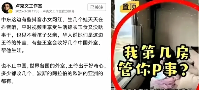 卢克文发文说，在中东有一些给王爷们当“小三”的年轻中国女人。主要作用是帮那里的王