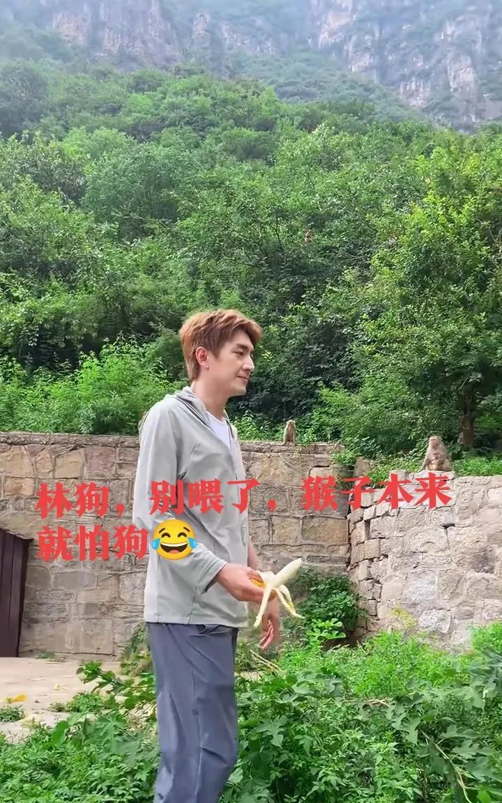这下好了，猴也生气了，狗也生气了[笑哭]
林更新:长得跟那个臭带鱼似的，爱吃不吃
