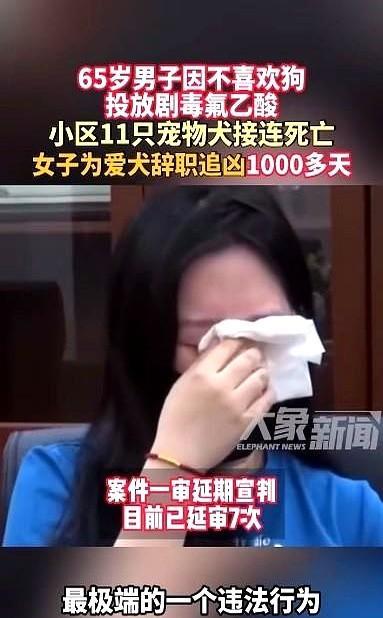 太执着了！北京一名女子因宠物狗被毒死，辞职寻找凶手！
这事儿搁谁身上都得崩溃啊！