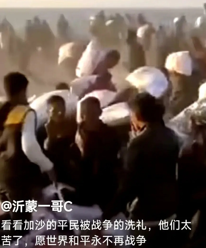 加沙人饿急了！见有粮食运来，蜂拥而上疯抢！面粉散落一地，还要撮到桶里盆里，带回家