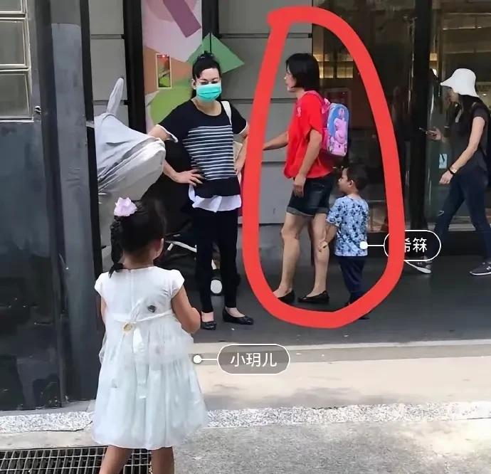 这两天都在传
小玥儿和小箖箖
这两张幼时照片
是黄外婆发的
目的是告诉前女婿汪小