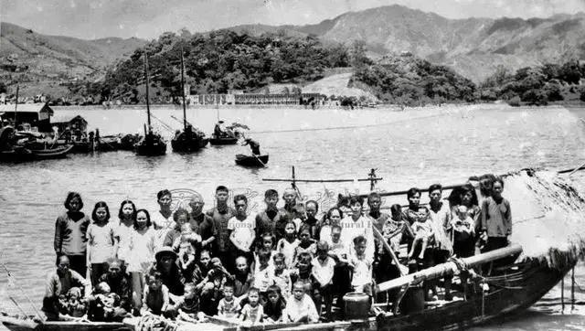 1960年3月，广东惠阳渔民苏就带决定带领全族逃港。为了掩人耳目，他把家族的两艘