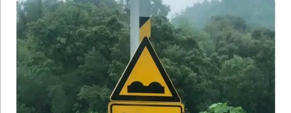 新手上路，不懂就问，这个标识牌应该是提示前方路面不平，建议车速:80迈对吧？可我