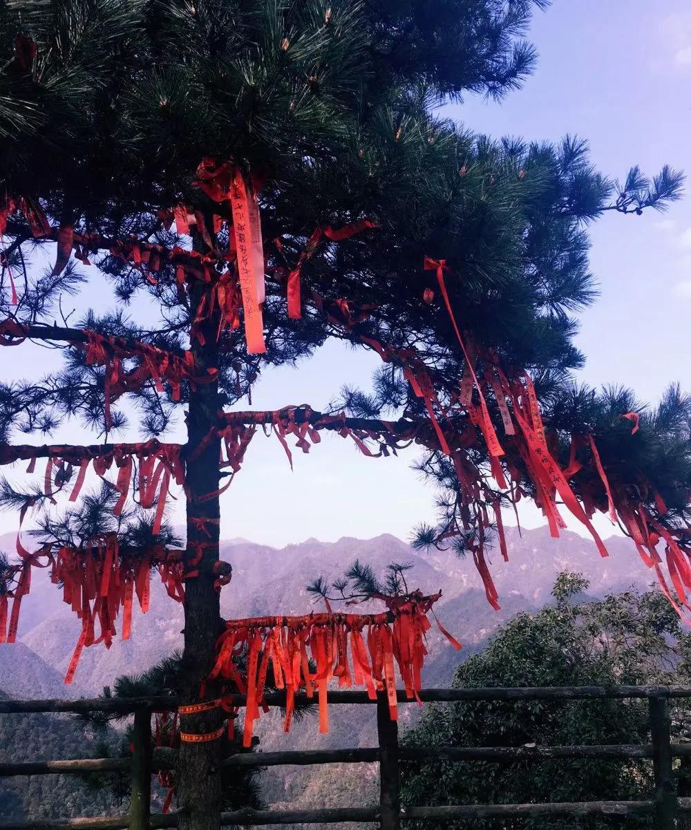 闰六月初一。。。良辰吉日
祈福放生开戒还愿
天时地利    福运安康