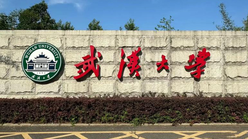 解读武大事件令人细思极恐的点：当程序正义输给舆论审判