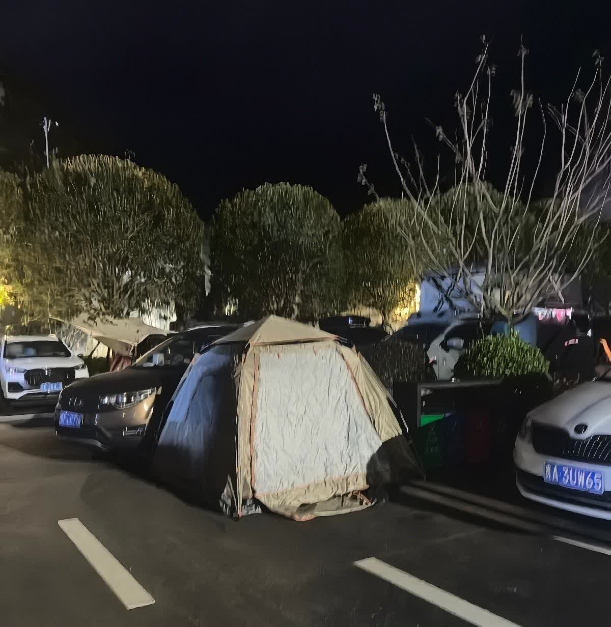 压力给了特朗普，普京表态了！普京在论坛上形容特朗普是一个令人安心的对话者，并赞扬