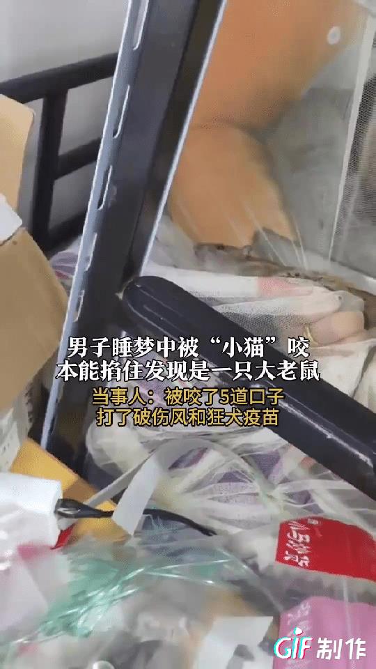 细思极恐！江苏无锡，男子光着上半身睡觉，睡梦中感觉有东西爬到了肚子上，他以为是家