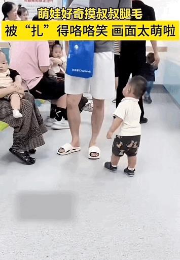 笑不活了！广东，小孩哥对光腿叔叔一脸好奇，鼓起勇气后小心翼翼的走上前去摸了又摸，