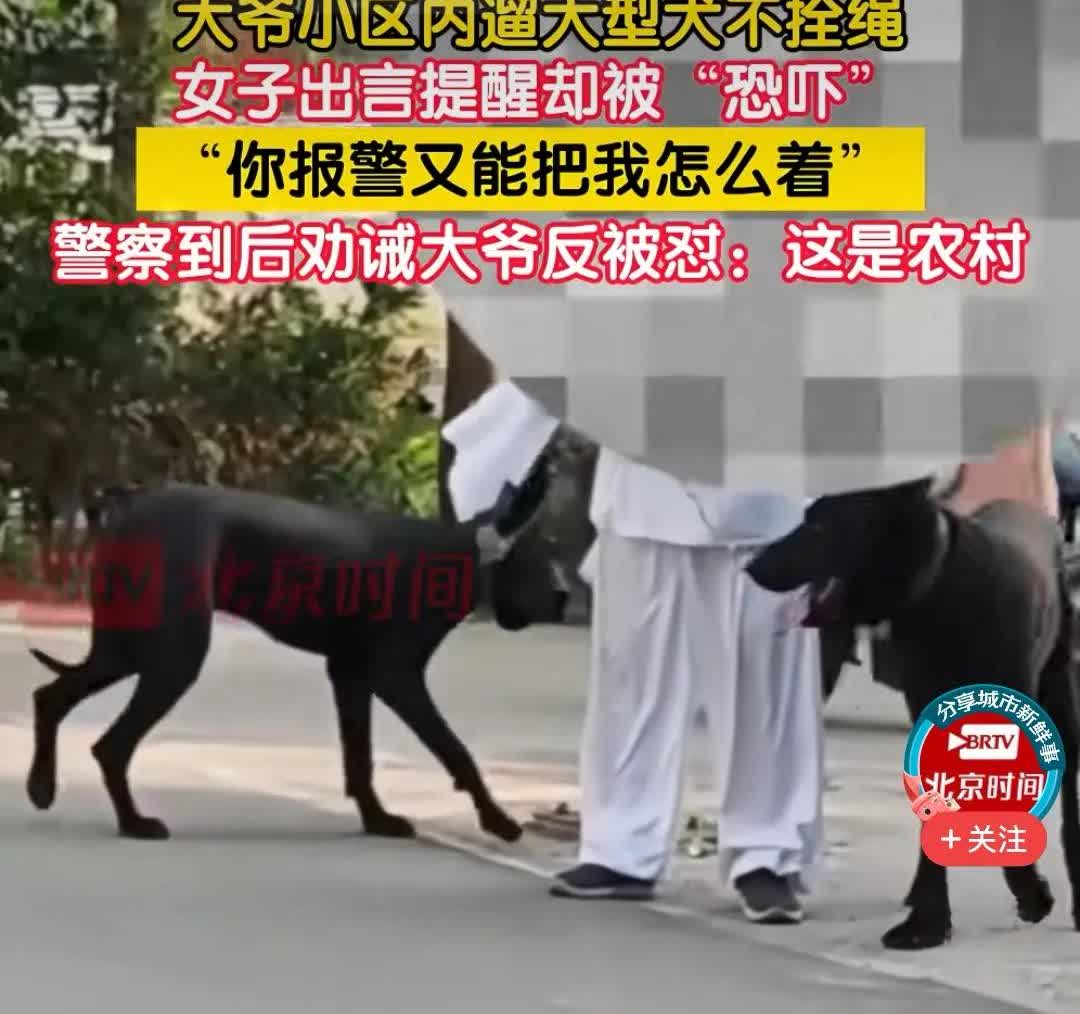 一个人两条狗，村里横着走！
岁数大了，就是致胜法宝！
大爷就是你大爷，惹不起