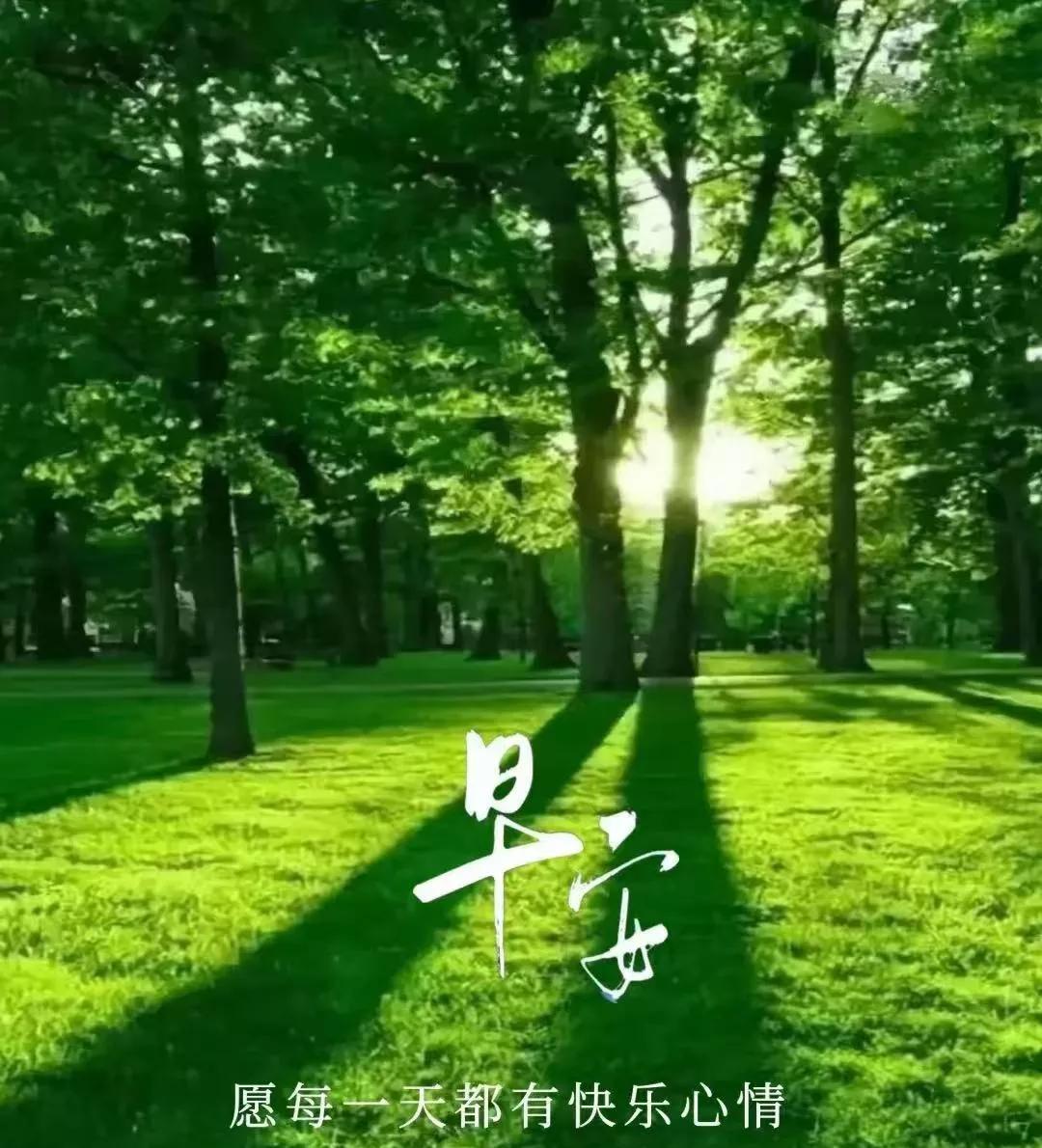 早安心语：拥时光而暖，享岁月安然
晨曦破晓，新的一天轻盈启幕。于时光长河的幽静处