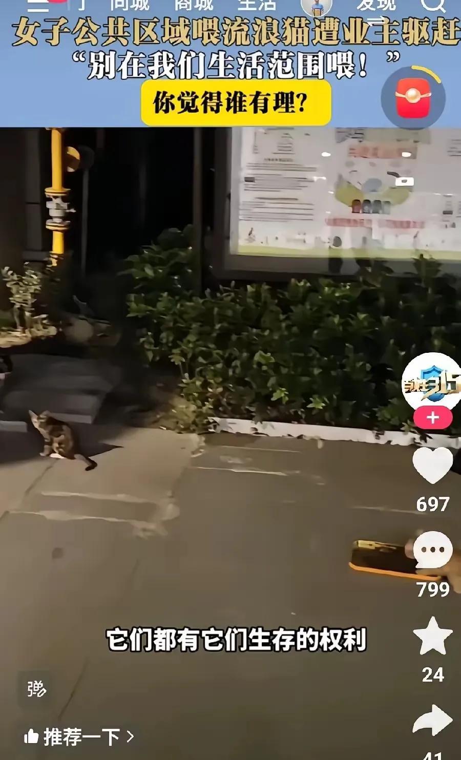 女子在公共区域喂流浪猫遭到业主驱赶。
你觉得谁有理呢？饲养动物，，要做好管理，不