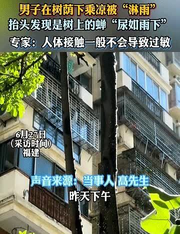 “祸从天上来！”6月28日福建，男子在树底下乘凉，突然感觉头顶像下雨一样，身上瞬