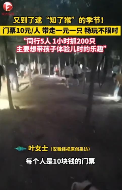 “简直就是捡钱啊！”2025年6月，江苏徐州，一老板为了赚钱，开放自家“知了猴”