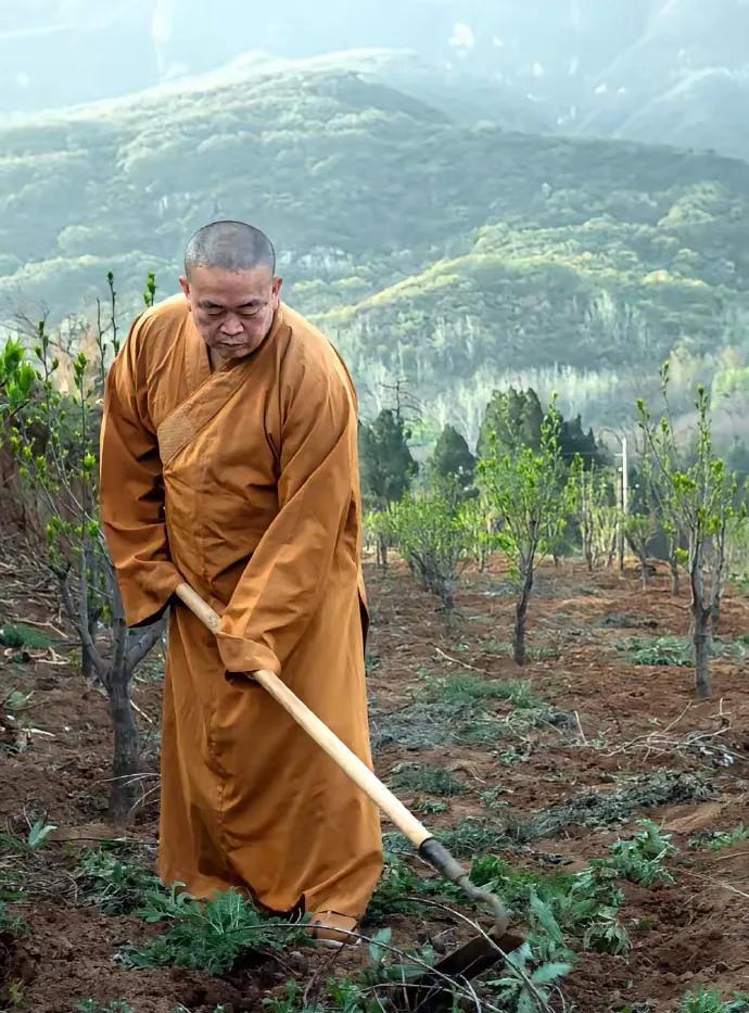 这是释永信和释印乐在劳作的照片。
        不管你释永信不管是否在做样子，