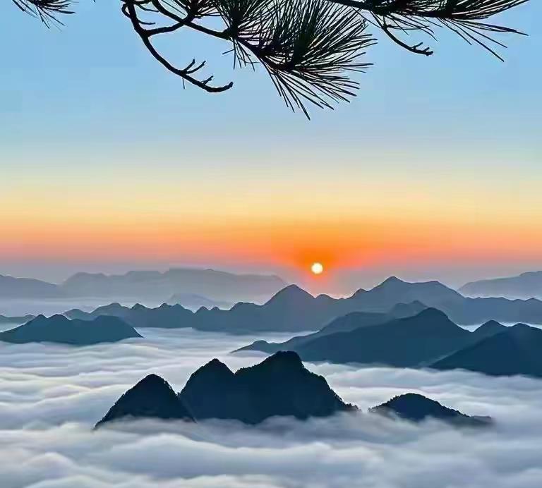 老了以后 ，才知道：
1.鸟美在羽毛，人美在勤劳。
2.嘴大的女人，有口福。
3