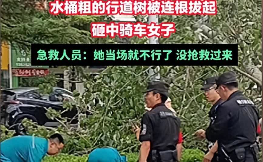 “天有不测风云”，7 月 1 日下午的河南濮阳，一场 7 级阵风把水桶粗的杨树连