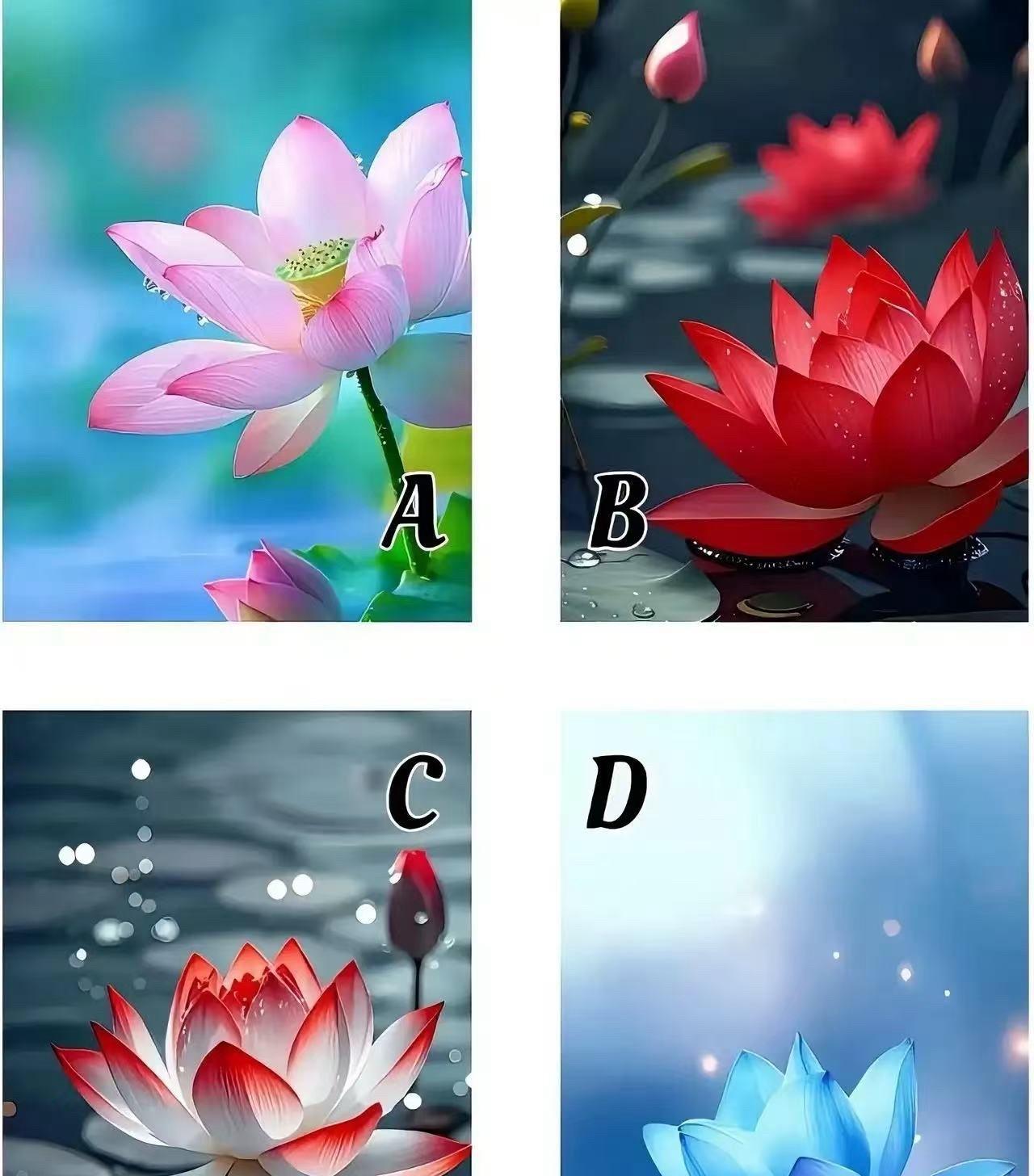 测一测老天是否格外偏爱你？
哪朵颜色的莲花你最喜欢？
答案在评论区！