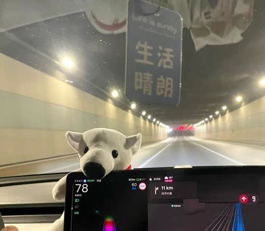 新手买车听我一句劝‼️
开了两年觉得特斯拉上手真的太容易了，开车前驾照考了两年