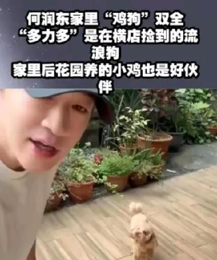 有孩子，谁想要狗？
何润东跟老婆结婚快10年了，一直想要个孩子，可不管咋努力，自