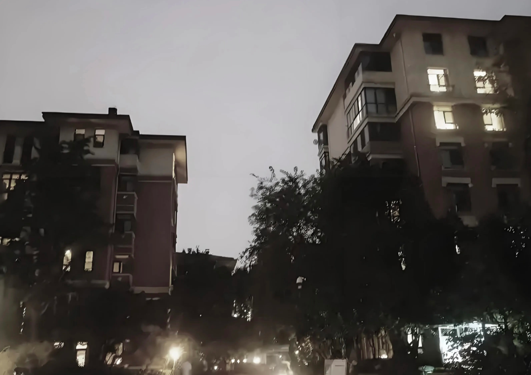 昨晚，小区一对刚结婚不久的小夫妻吵得比较厉害，惊动了大家，事后一打听，原来是因为
