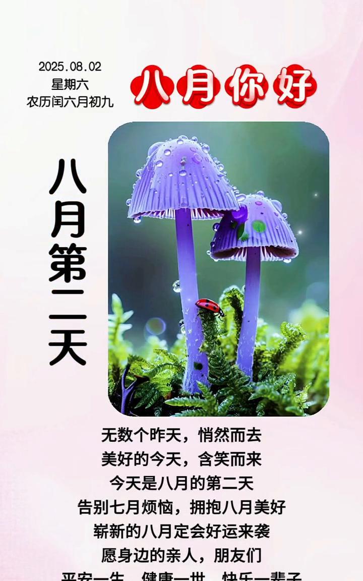 八月你好。
八月第二天，无数个昨天悄然而去，美好的今天含笑而来。今天是八月的第二