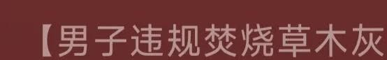 [捂脸]这男子也太无聊了，不焚烧草木，去违规焚烧---"草木灰"。