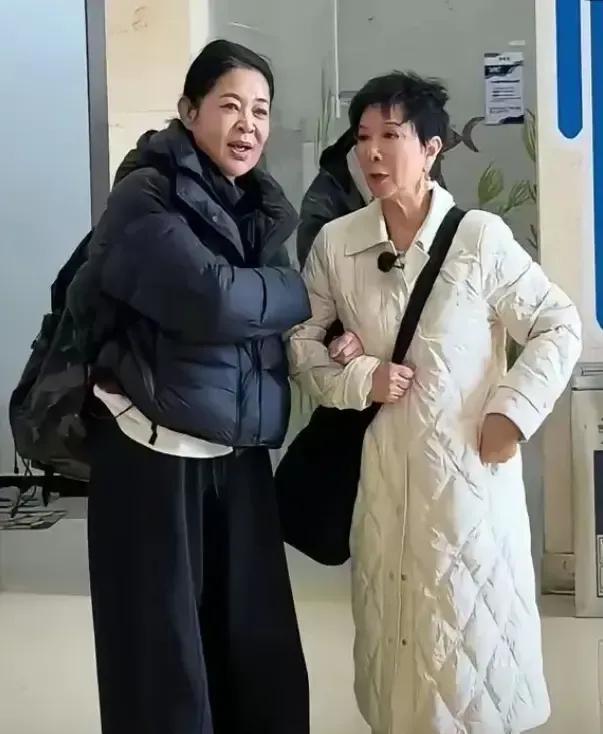 她俩咋就成了大家眼里的俗民了呢？曾经的光环多令人羡慕，一个是春晚主持的当家花旦，