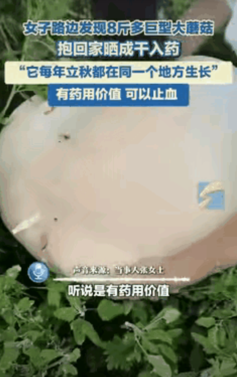 “这都是命啊！”黑龙江齐齐哈尔市，一女子在路边玩的时候，发现有颗重量高达8斤多的