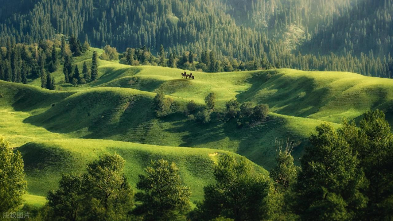 FSC认证环保黄牛皮纸高透格拉辛纸无塑纯纸防静电防刮擦抗拉伸袋