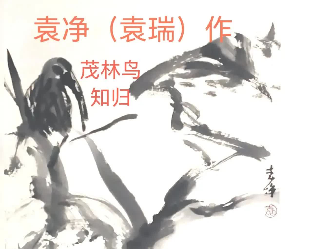 悲剧还是发生了！5月28日，浙江杭州，一女子在家里煮粽子icon时，突然灵机一动