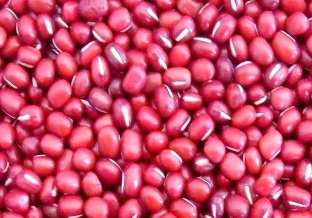 黑龙江省双鸭山市十大特产
一、双鸭山榛蘑
二、宝清大米
三、椴树蜜
四、挠力河毛