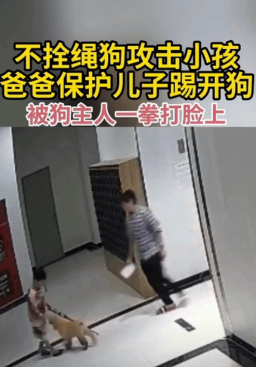 爸爸带领孩子正在等待电梯时，一条狗直奔孩子过来，这位爸爸赶紧用脚拨动了一下狗狗，