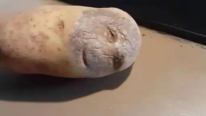 每日一笑：盘点网络上那些搞笑的段子（二），哈哈哈！