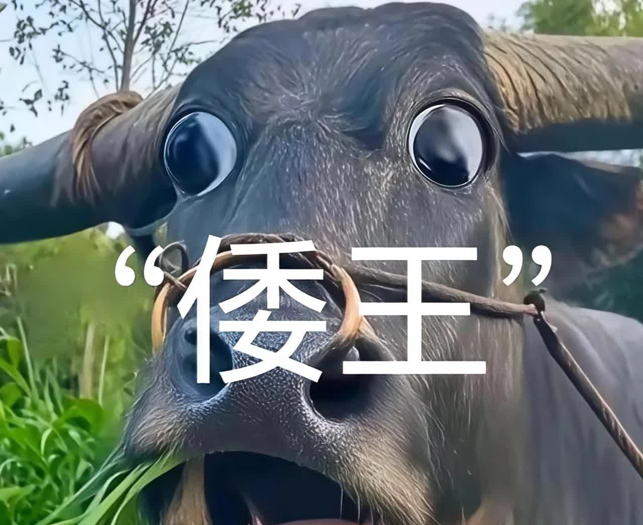 以后别再称“日本皇帝”为“天皇”了，什么裕仁、明仁，一律改称“倭王”，在我国，只