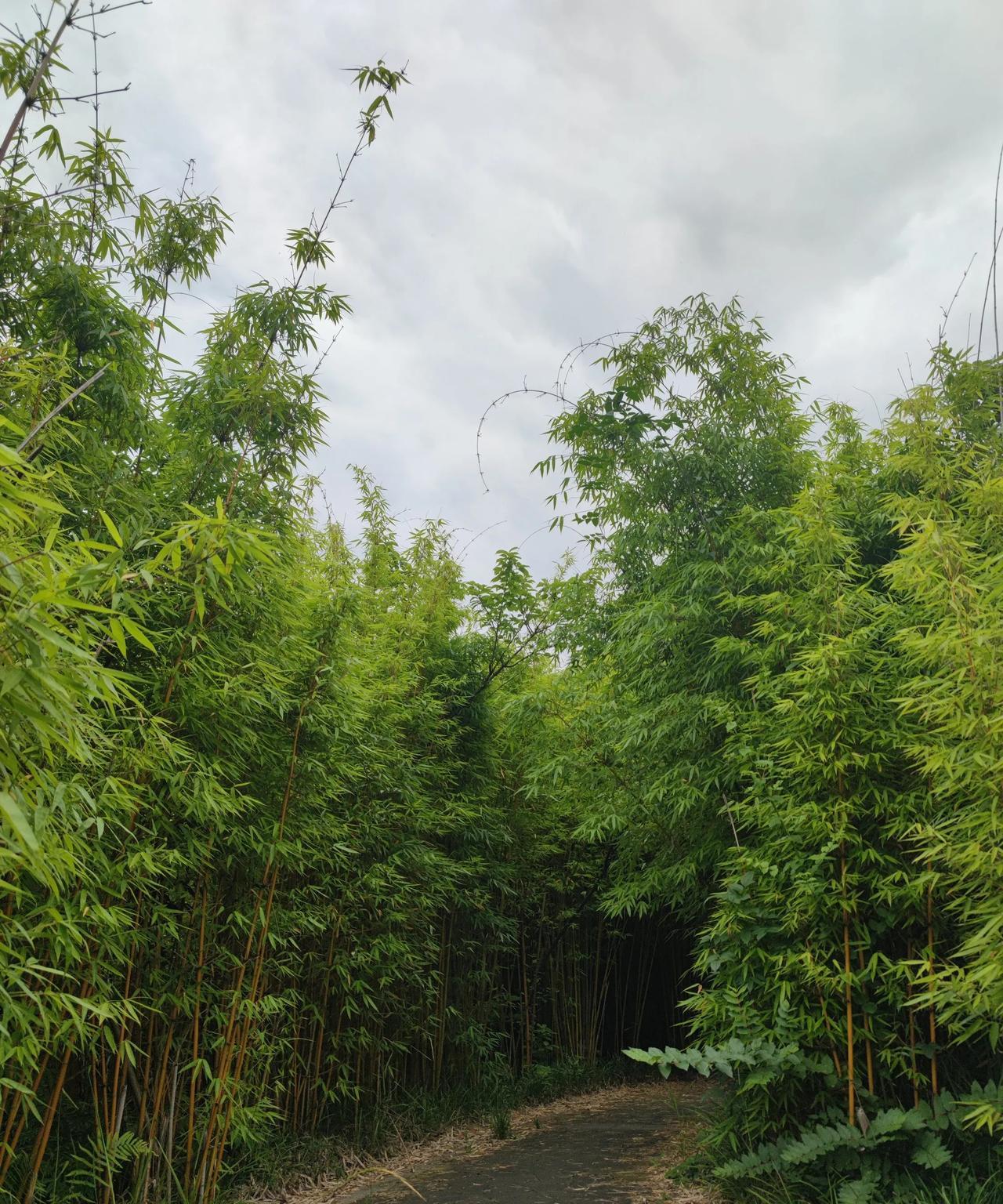 看到昨天的新闻，广东华侨中学一学生因走错考场，虽然得到交警的紧急护航，但最终还是