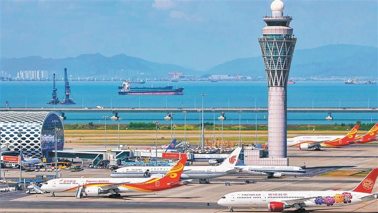 首批出口！圣泽松茸正式登陆韩国市场，中国“生物稀土”走向世界