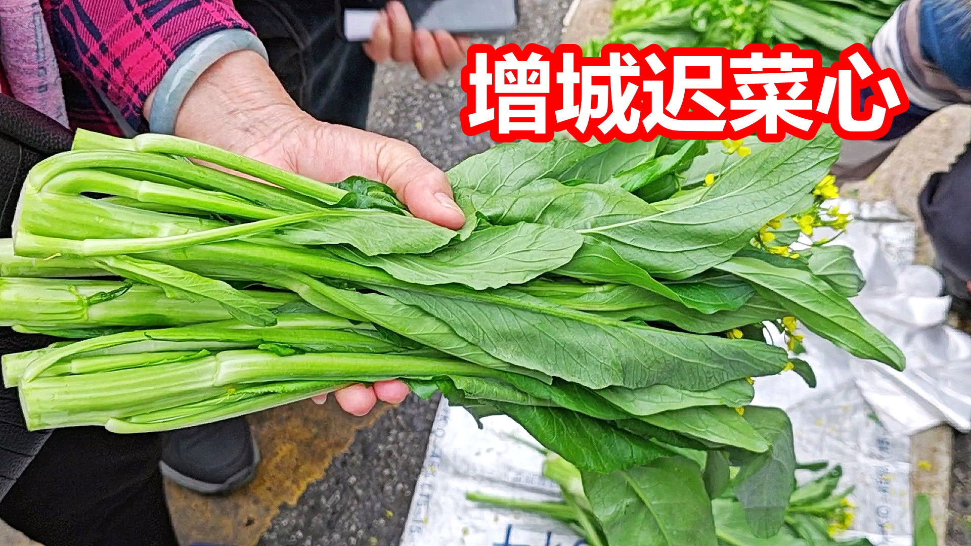 迟菜心初起，腊味已飘香，广州增城中新圩