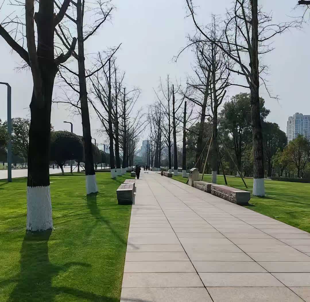 我坚决做不了伟大的儿媳妇，这是我对老公的态度，也是我现在的选择。我同意把帕金森的