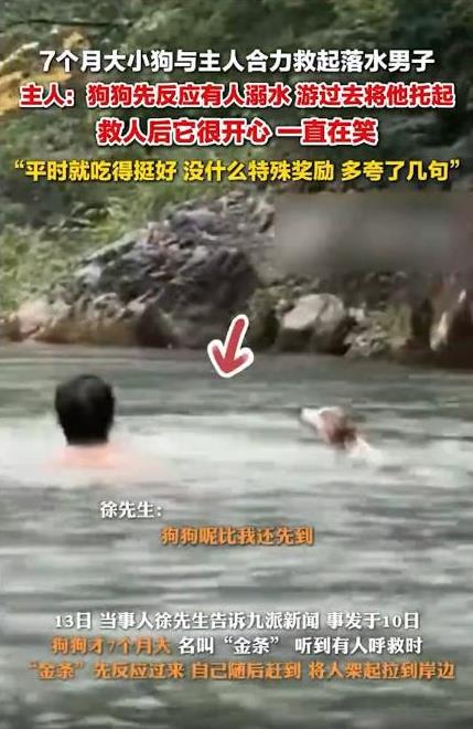 “太有灵性了！”6月10日，男子带着7个月大的狗狗在河边游玩，狗狗突然狂叫起来，