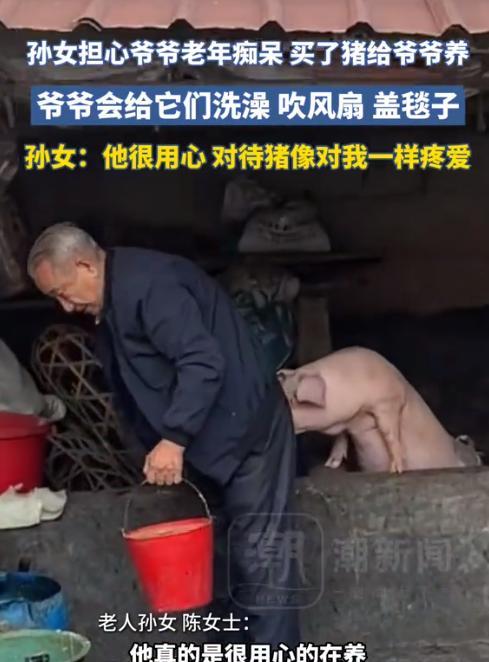 “这孙女太懂事了！”广东潮汕，孙女担心78岁爷爷在家没事干患老年痴呆，专门买了几