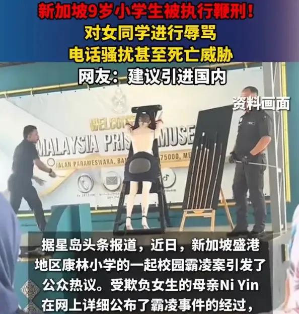 建议引进国内