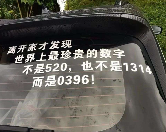 这个0396是什么意思?有人懂吗？