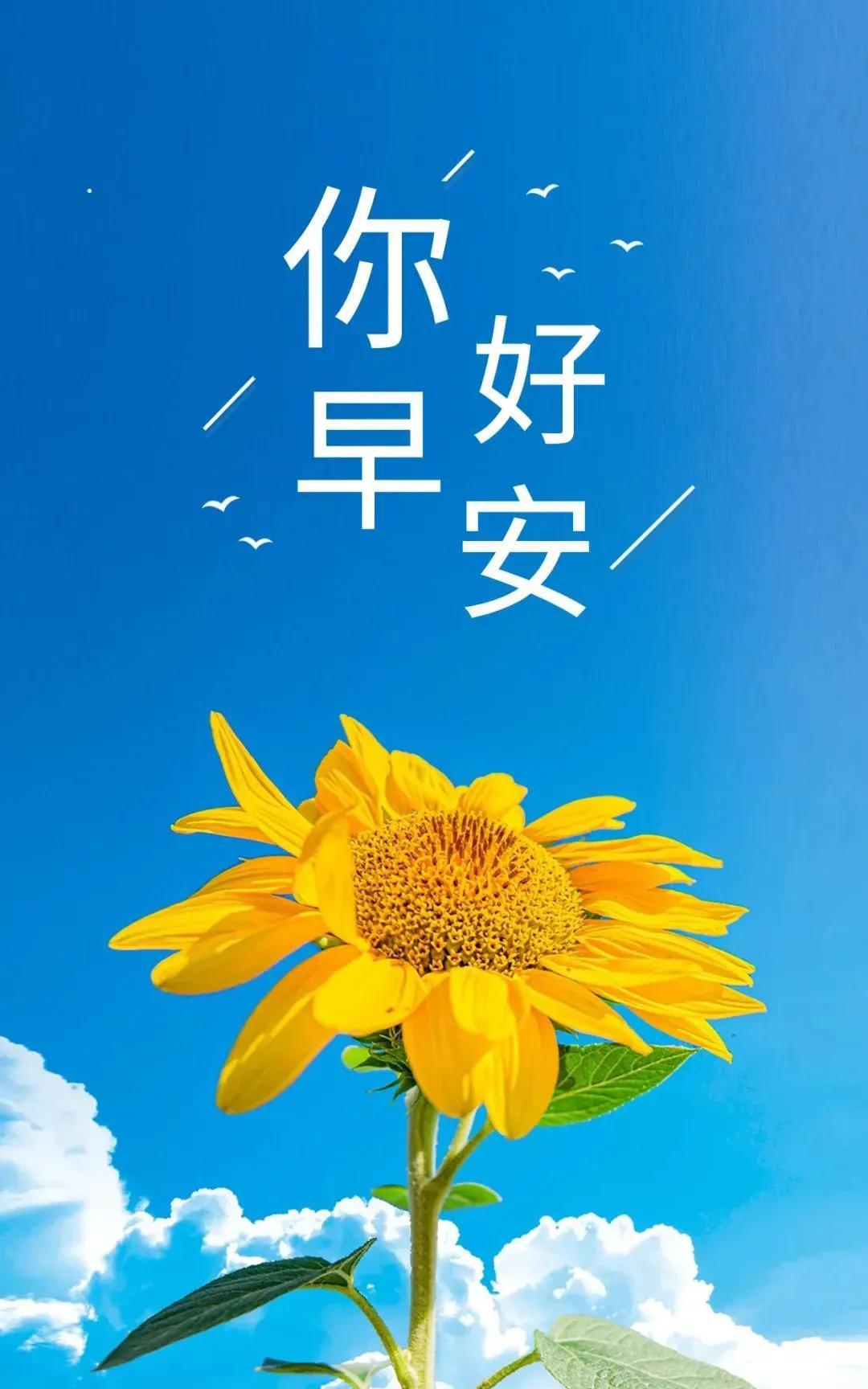 《临江仙·晨兴祝友》
暖阳柔照意阑珊。
惠风轻拂处，岁月亦安闲。
愿友今朝交好运
